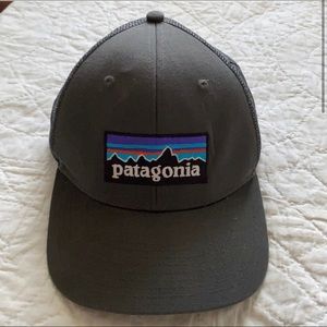 Patagonia Trucker Cap